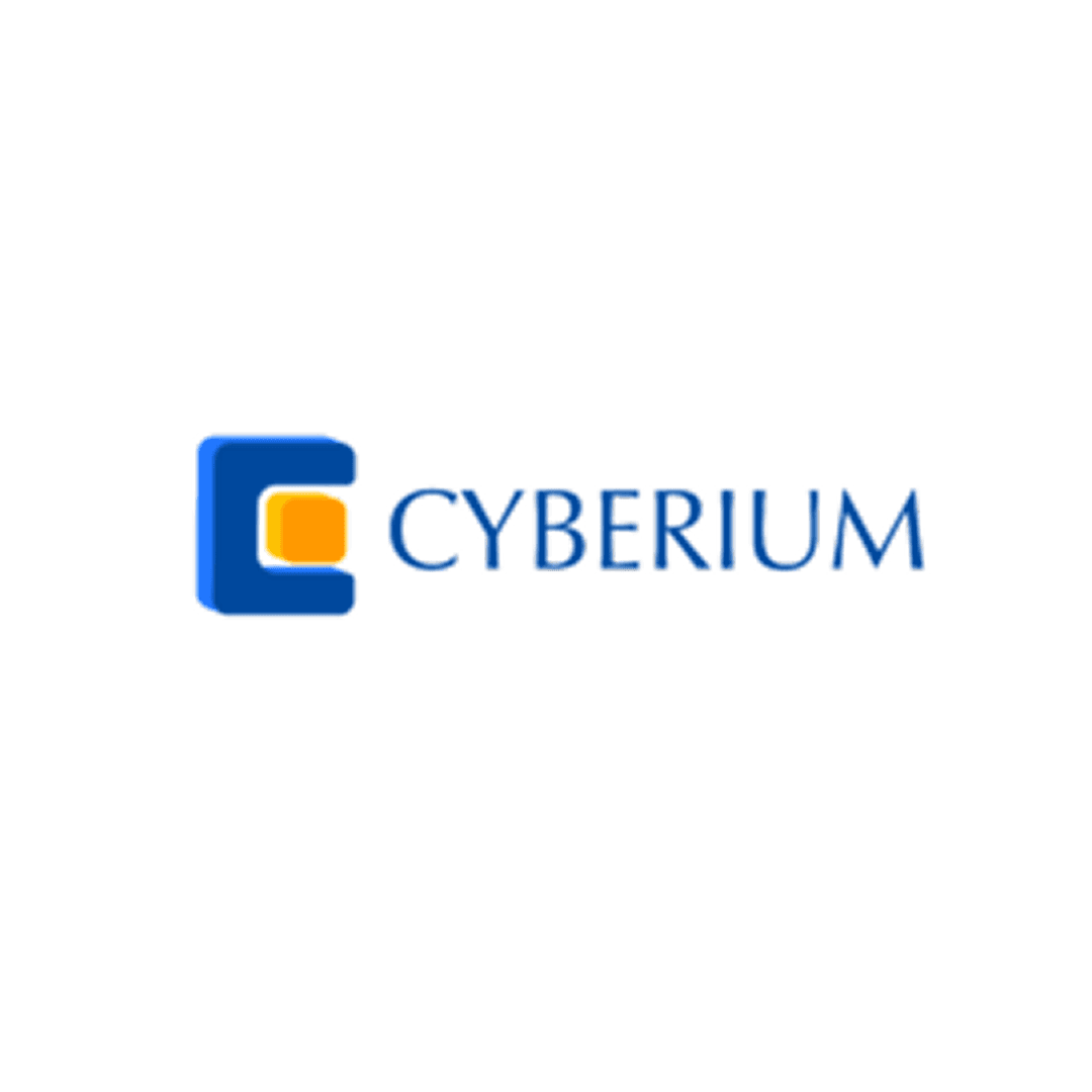 Software Engineer Intern @ Cyberium Group